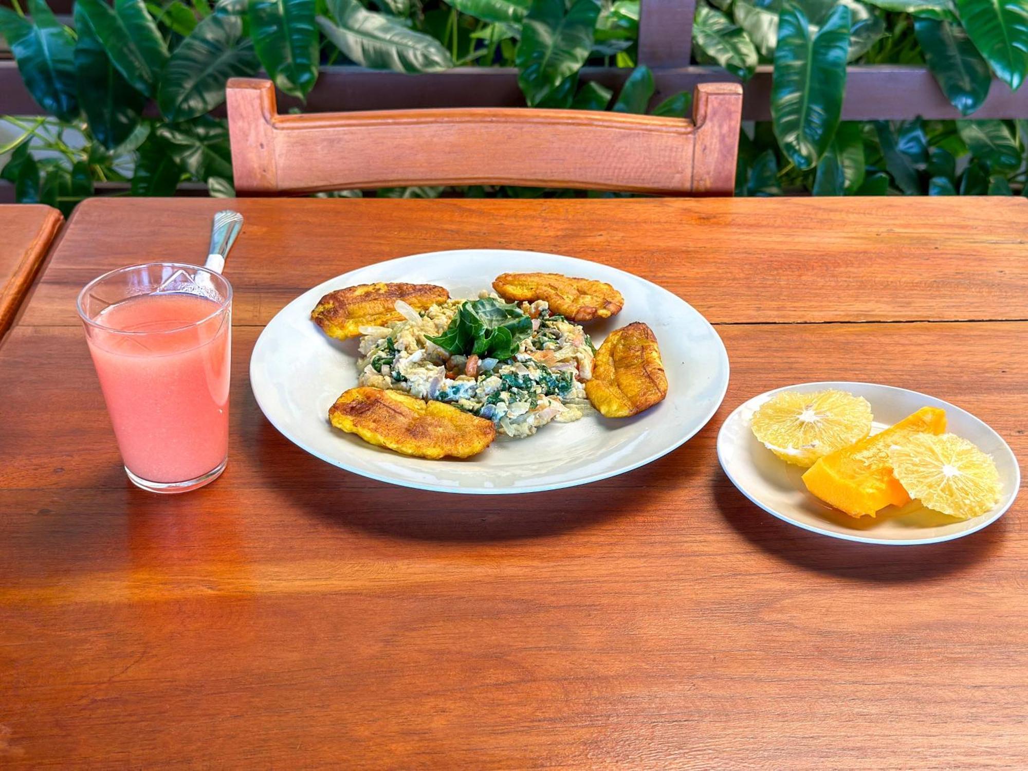 Eco Hotel El Refugio Boutique レティシア エクステリア 写真