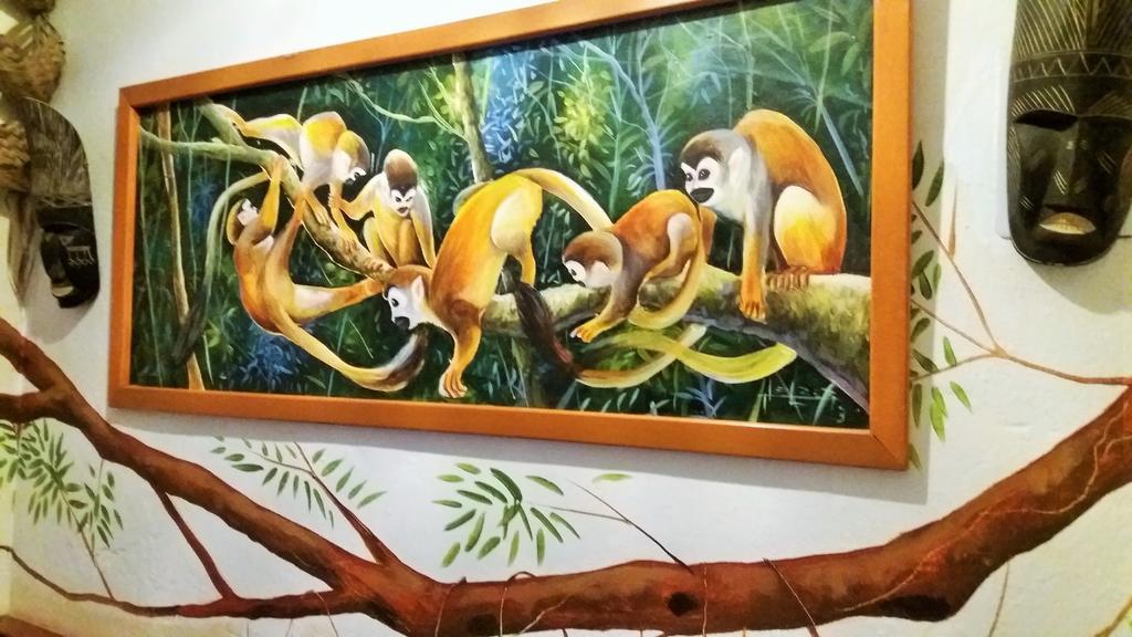 Eco Hotel El Refugio Boutique レティシア エクステリア 写真