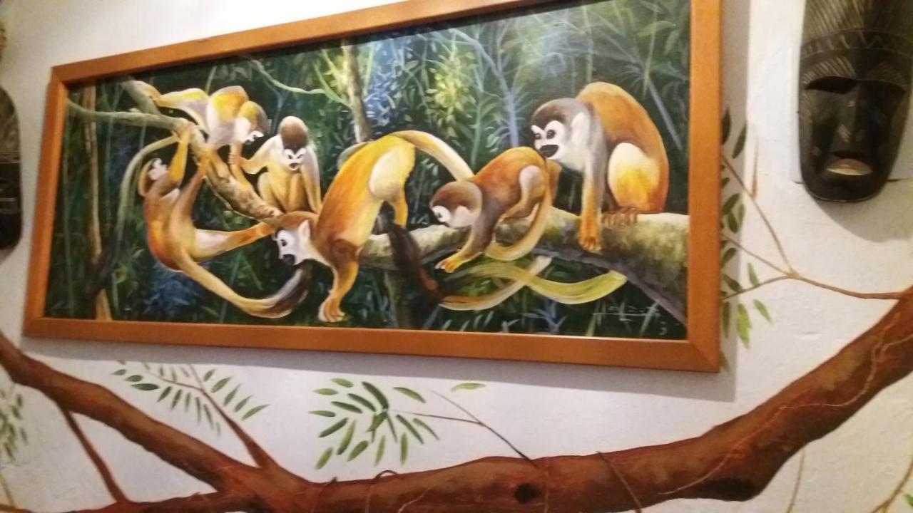Eco Hotel El Refugio Boutique レティシア エクステリア 写真